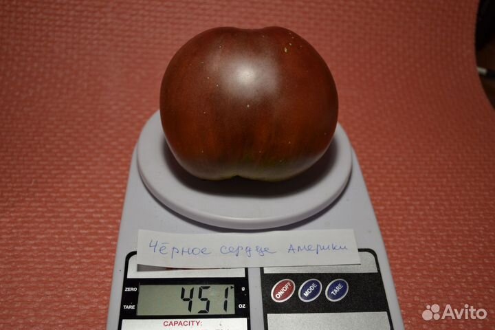 Семена коллекционных сортов томатов