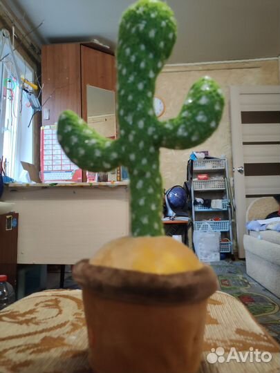 Говорящий кактус