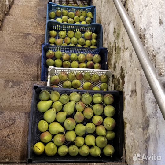 Груши и яблоки с лпх. Самовывоз