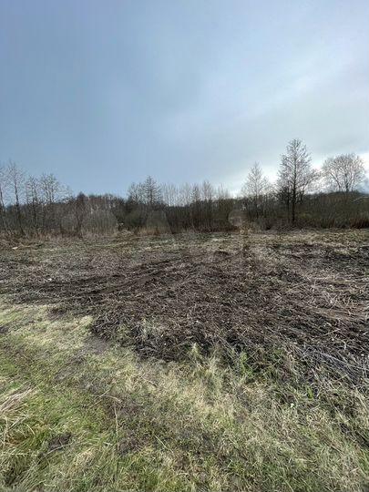 Участок 6 сот. (СНТ, ДНП)