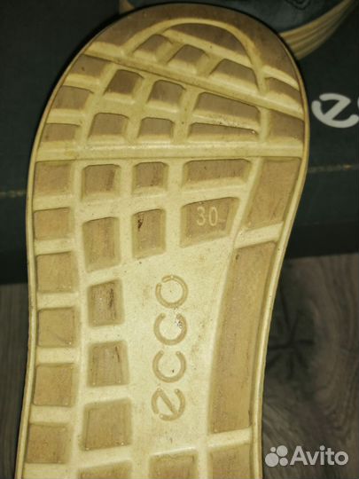 Ессо. 30 Lessi 30