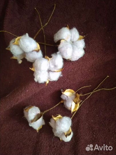 Хлопок коробочки(8шт)