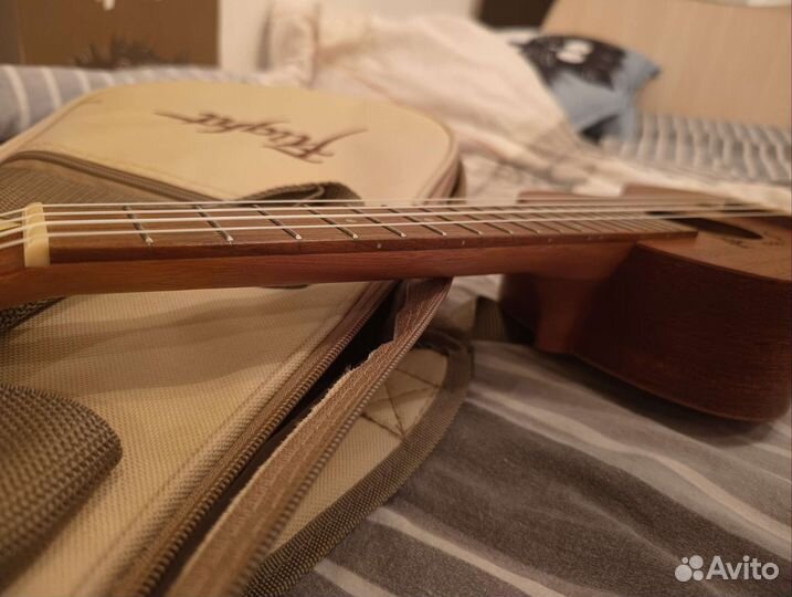 Укулеле flight концерт