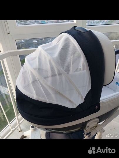 Коляска adamex monte carbon 2в1