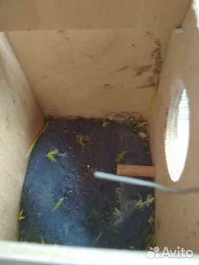 Домик для птиц