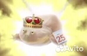 Небесная лягушка