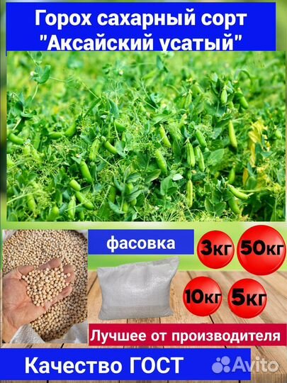 Сахарный горох семена сорт Аксайский усатый ГОСТ