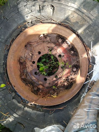 Запчасти на мтз