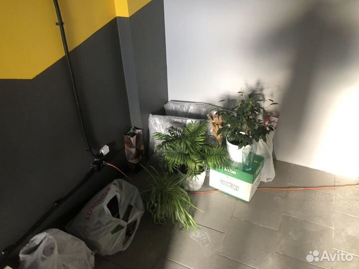 Грузоперевозки/переезды/грузчики