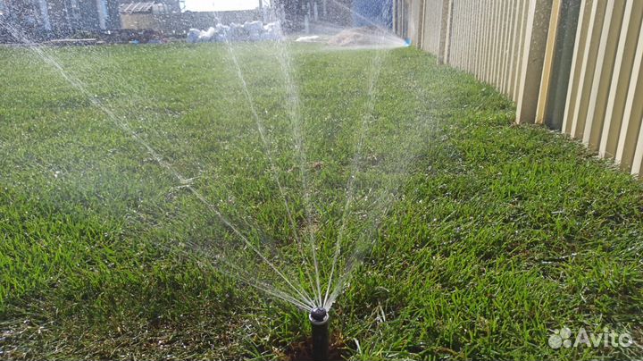 Рулонный газон лучше чем посевной