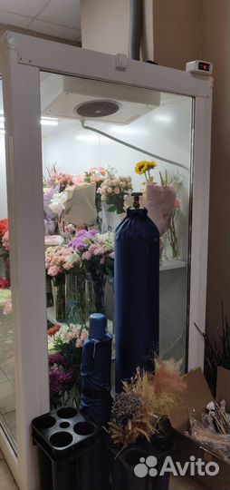 Холодильник для цветов Цветочная витрина