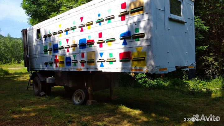 Пчелопавильон, пасека