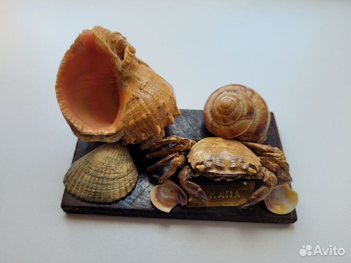 Сувенир из Анапы с ракушками