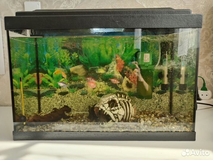 Аквариум
