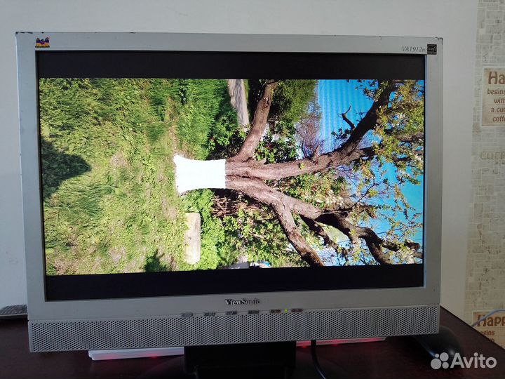 Монитор 19