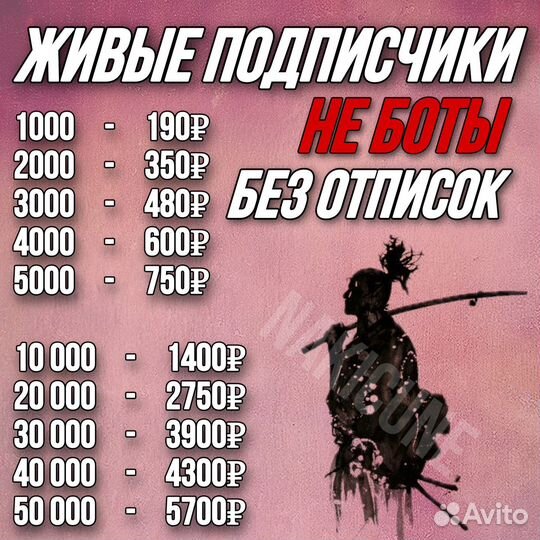 Накрутка подписчиков