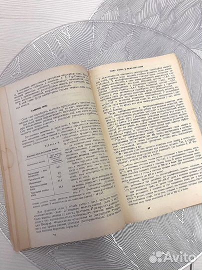 Тяжёлая атлетика А Н Воробьев Москва 1988 год