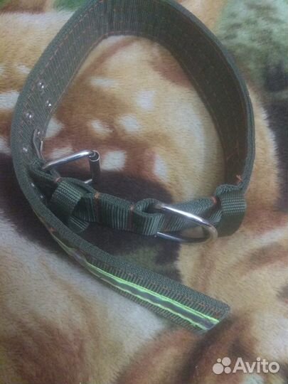 Ошейник и намордник на крупную собаку