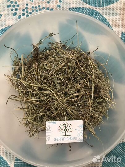 Чабрец трава / Бессмертник цветки С алтая