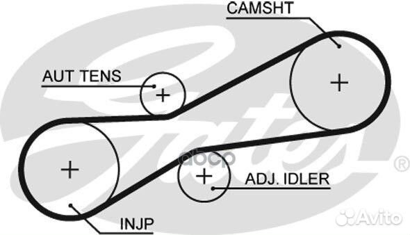 Ремень привода тнвд (z81) 5494XS Gates