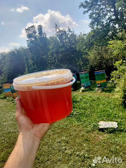 Кориандровый Мед