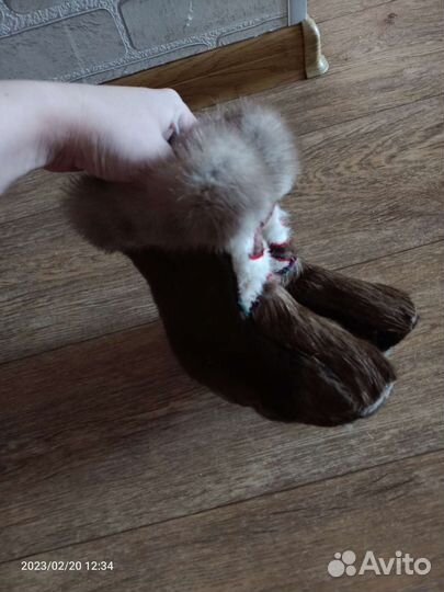 Кисы детские