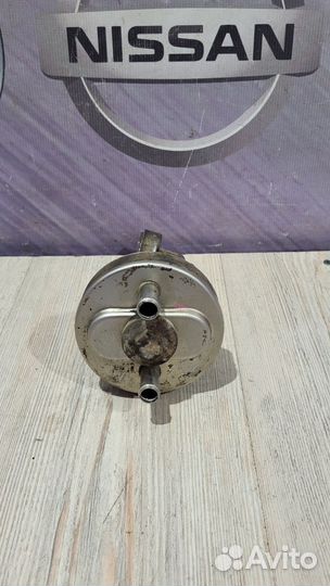 Радиатор масляный Nissan primera P12