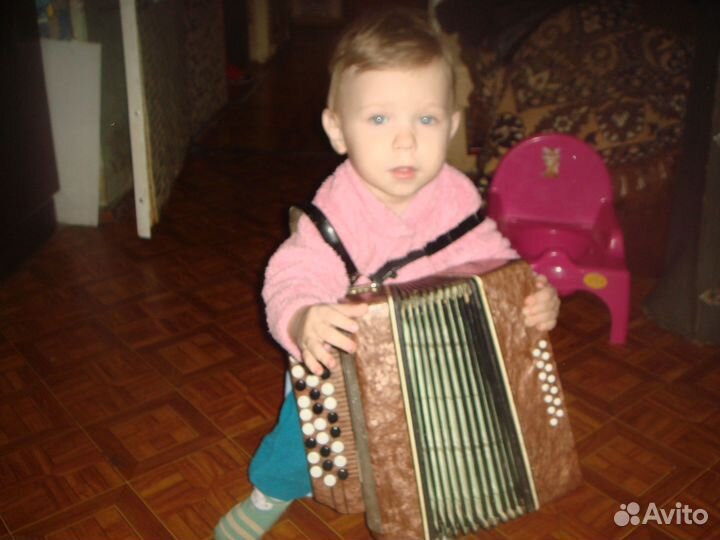 Аккордеон малыш с футляром Баян детский