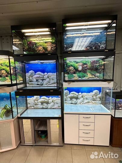 Аквариум