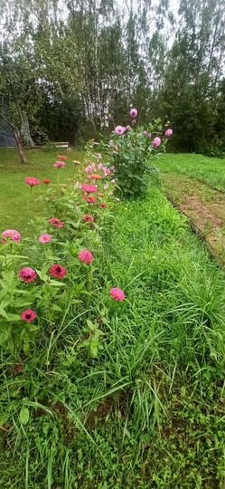 Дача 50 м² на участке 10,4 сот.