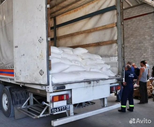 Семена тыквы неочищенные от прямого импортера