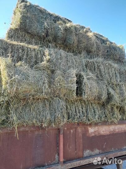 Сено в тюках