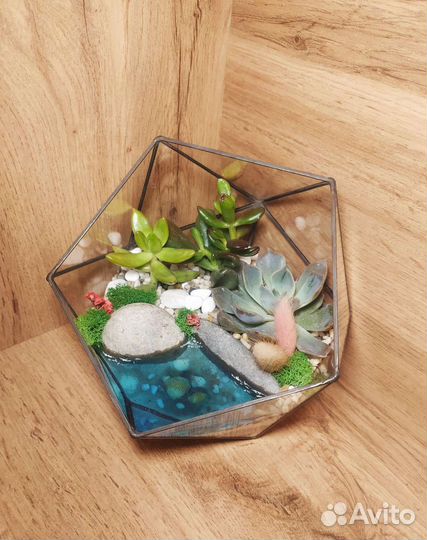 Флорариум в подарок на 8 марта