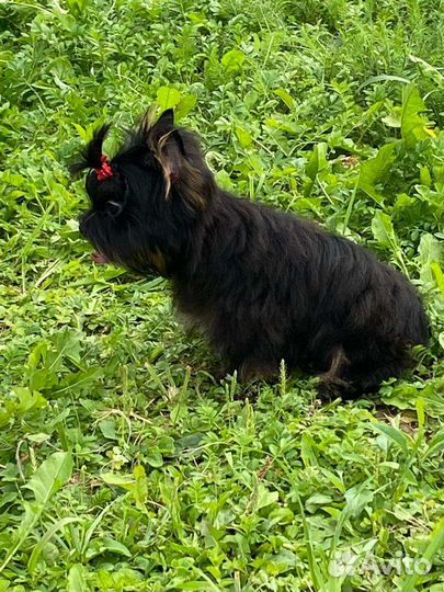 Мини мальчик