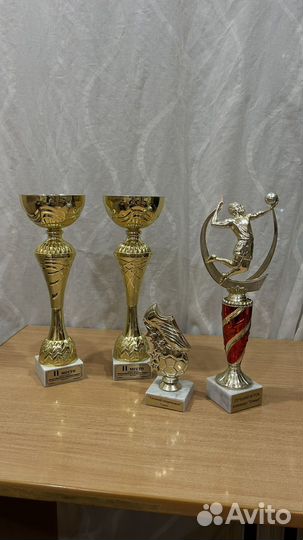 Кубок спортивный