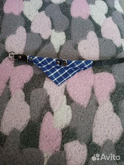 Одежда и обувь для собаки