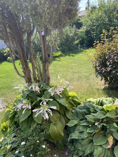 Коттедж 262,7 м² на участке 9,8 сот.