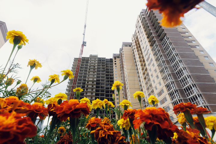 1-к. квартира, 46,4 м², 6/22 эт.