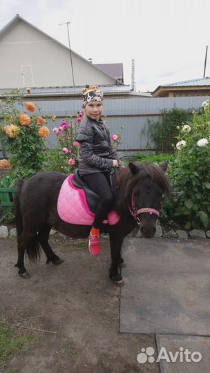 Седло для пони Wintek