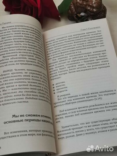 Веды о силе времени Торсунов