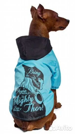 Одежда для собак