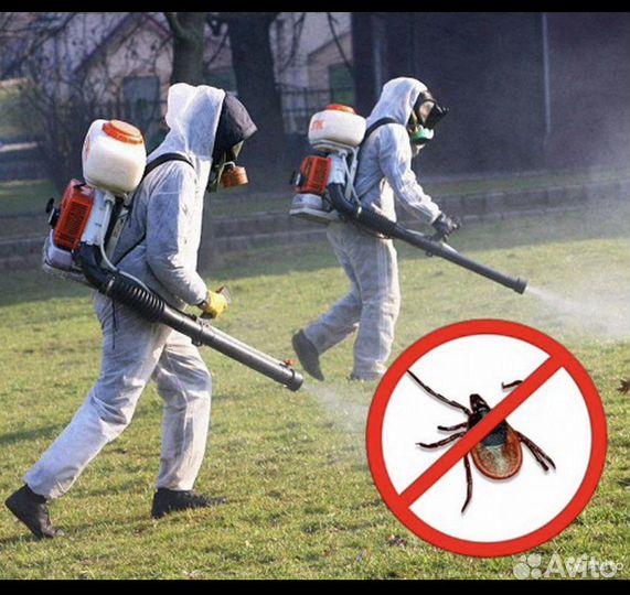 Обработка территории от комаров, мошки, клещей, ос