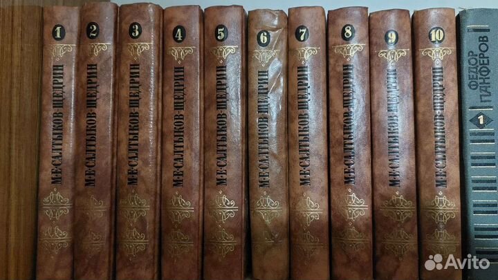 Книги:Салтыков-Щедрин,10т