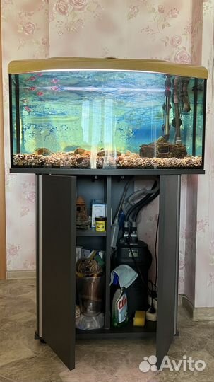 Панорамный аквариум aquael 95 литров тумба графит
