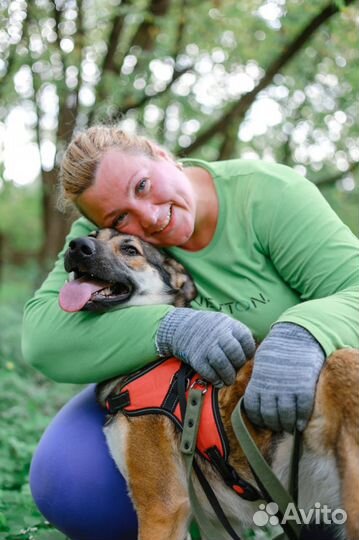 Умка ищет маму