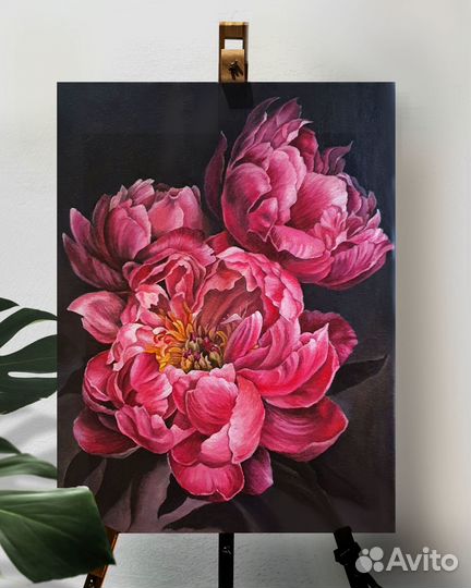 Картина Пионы