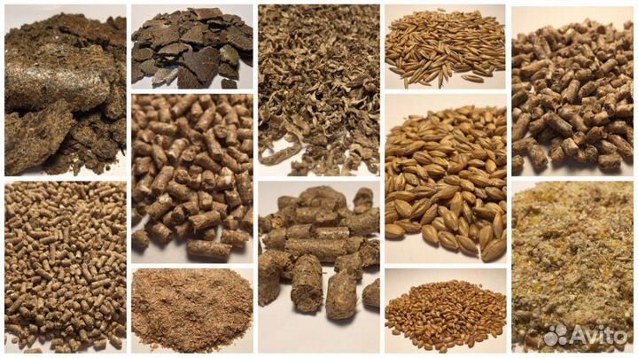 Корма для сельскохозяйственных животных и птиц