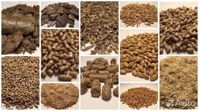 Корма для сельскохозяйственных животных и птиц