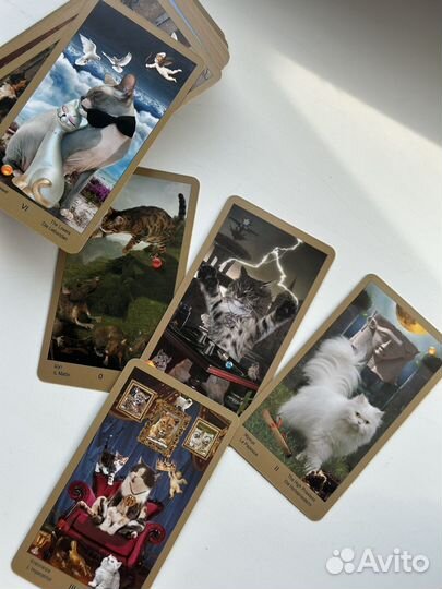 Таро Катавасия