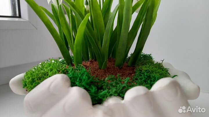 Первоцветы из холодного фарфора